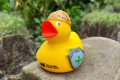 Zons_Ente_evd